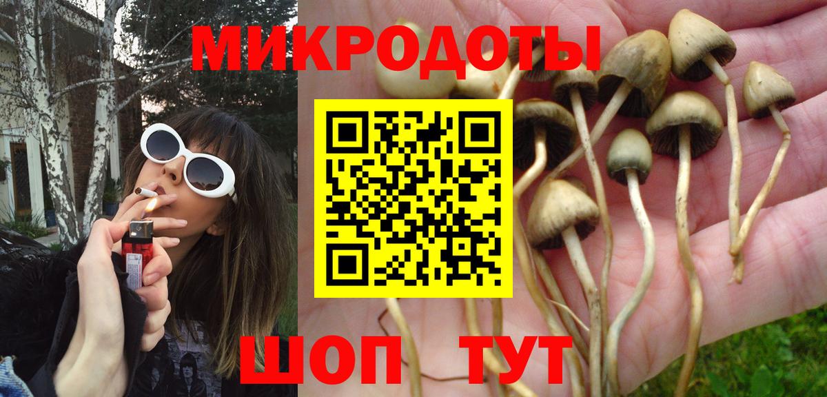 Рассказово  Галлюциногенные грибы GOLDEN TEACHER  хочу   Вход с VPN 